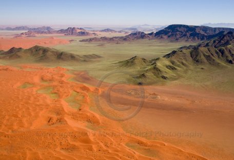 After the rains, Sossuvlei, Namibia