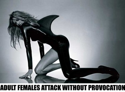 Adult Females Attack Without Provocation, 2004