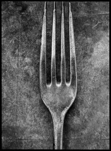 Fork, 1991