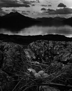 Gull's Nest, Midsummer Eve Isle of  Skye