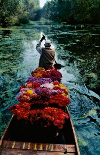 Kashmir flower seller